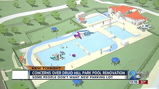Concerns rise over Druid Hill Park pool renovation