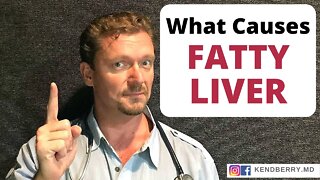 What Causes Fatty Liver? (Not What You Think) 2021