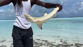 Fishing in The Bahamas with City Boyz Fishing: EP:1