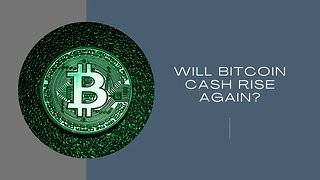 will bitcoin cash go up again