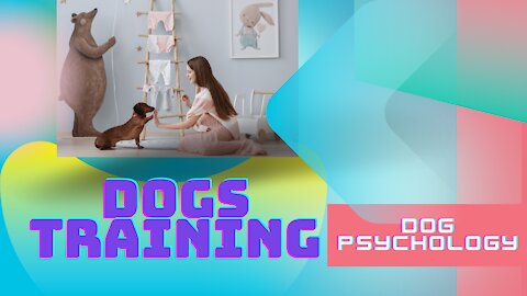 Dog Psychology 101 ! Dogs Training ! Trained your Dogs