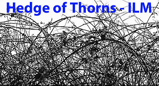 Hedge of Thorns - ILM