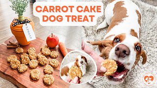 Homemade Carrot Cake Dog Treats