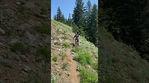 Steep side hills and big views #mtb #ytshorts