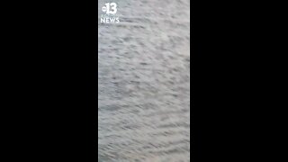 RAW: Something in water at Lake Mead