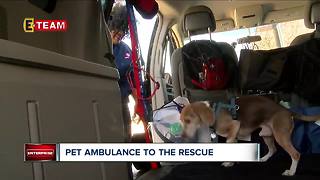 Pet ambulance to the rescue