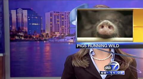 Funniest LIVE TV News Interviews Gone Wrong (part1)