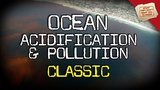 Stuff They Don't Want You To Know: Ocean Acidification and Pollution - CLASSIC