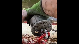 GIANT MAGNET Retrieves Hidden Antique Sign! #magnetfishing #shorts