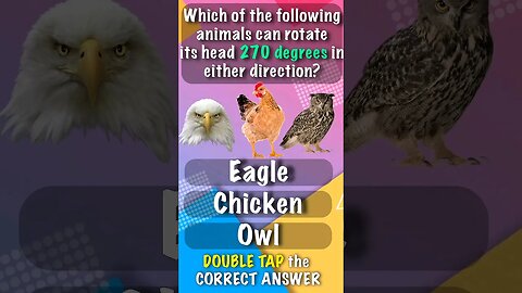 Animal Quiz 5 Animal that can Rotate head 270 deg #shorts #facts #quiz #education #learning