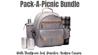 🧺 Pack-A-Picnic Bundle from Thirty-One | Ind. Director, Andrea Carver 🎒