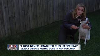 Deadly disease killing dogs in Kenmore area