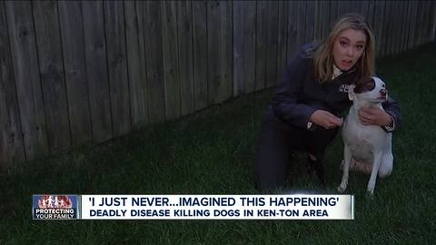 Deadly disease killing dogs in Kenmore area