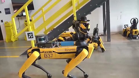 Robo-dogs from Boston Dynamics are now almost like living ones - the
