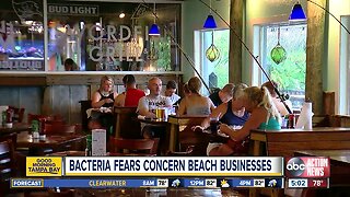 Flesh-eating bacteria fears concern beach businesses