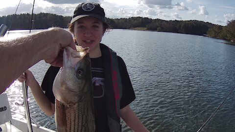 TaraDactyl Striper Fishing BLOODY MESS