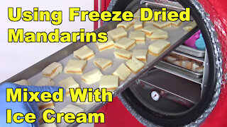Using Freeze Dried Mandarins in Ice Cream