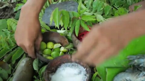 Shrimp eating in jungle, cooking on a rock | Primitive Wildlife-8