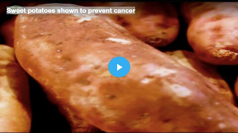 Sweet potatoes shown to prevent cancer
