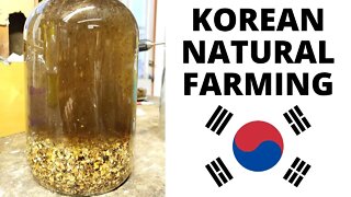 What is Korean Natural Farming? Interview with PureKNF Drake