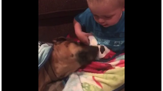 Baby boy tells his dog he loves him