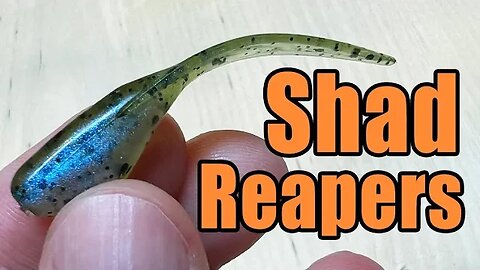 Shad Body Reapers - Leech Style Tail Crappie Panfish Fishing Bait