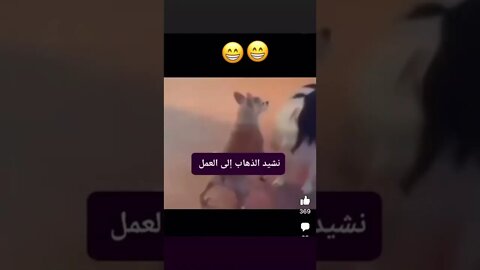 الطاقه الايجابيه كما ينبغى 😁#shorts