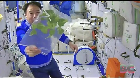 Chinese astronauts harvest tomatoes, lettuce in space