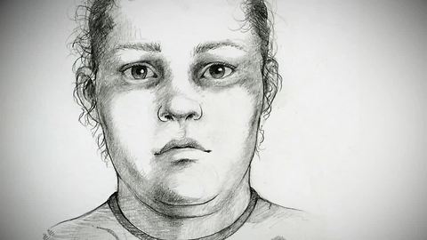 Highland Park Jane Doe remains unidentified after 20 years