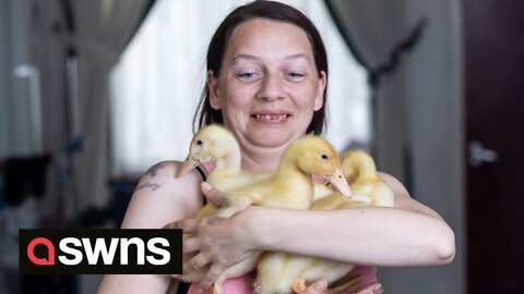 UK woman surprised after shop-bought eggs hatch leaving her with THREE ducks