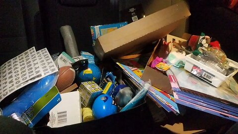 HUGE DOLLAR TREE DUMPSTER DIVE HAUL!!!