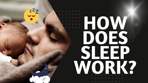 What do you know about REM and Non REM sleep?