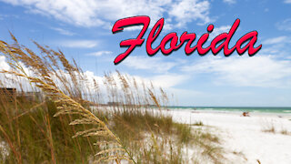 Florida Travel Destinations [ What to do in Florida ]