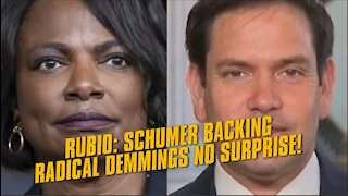 Marco Rubio Rips Val Demings After Schumer Endorses Her