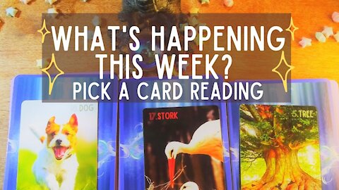Pick a card reading- What's happening this week?