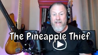 The Pineapple Thief - White Mist - First Listen/Reaction