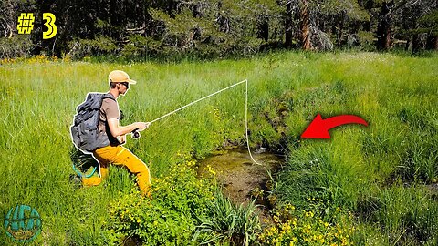 Fishing for the most INCREDIBLE Trout on the Planet! || California Gold Pt 3 (Golden Trout)