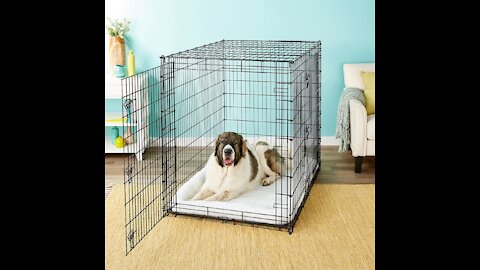 Crate Train Your Dog