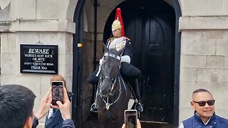 King's guard tells tourist (back) when horses moves forward #horseguardsparade