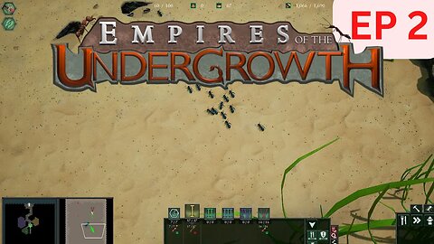 Empires of the Undergrowth - EP 2 | Funnel Web Spiders 😎 & Egg Thieves!