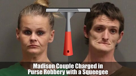 Madison Tennessee Couple Charged in Purse Robbery with a Squeegee