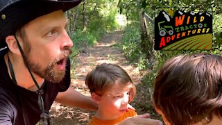 A New Discovery | Wild Tractor Adventures #03