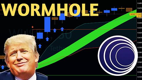 $W $BABYDOGE Price Prediction Wormhole Coin (100x crypto 2024 bull run analysis)