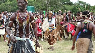 SOUTH AFRICA - Durban - Umthayi marula festival video's batch 5 (QE2)