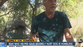 Man who helped rescue injured dog talks to 10News
