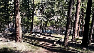 TOP 3 COUNTDOWN OF BEST "ONE-PARTY CAMPSITES" @ Monty Campground! | Metolius River Central Oregon 4K