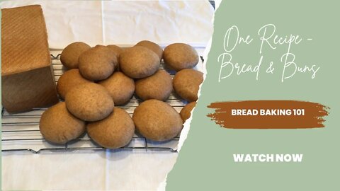 How to make fresh milled flour bread and hamburger buns.