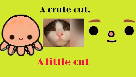 A crute cut