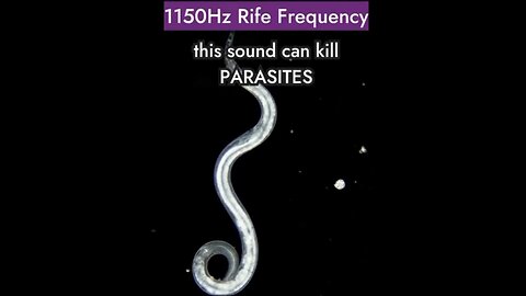 1150 Hz RIFE FREQUENCY... THIS SOUND KILLS PARASITES