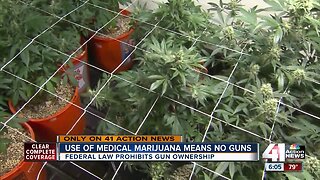 Medical marijuana or your guns: Missourians may have to choose